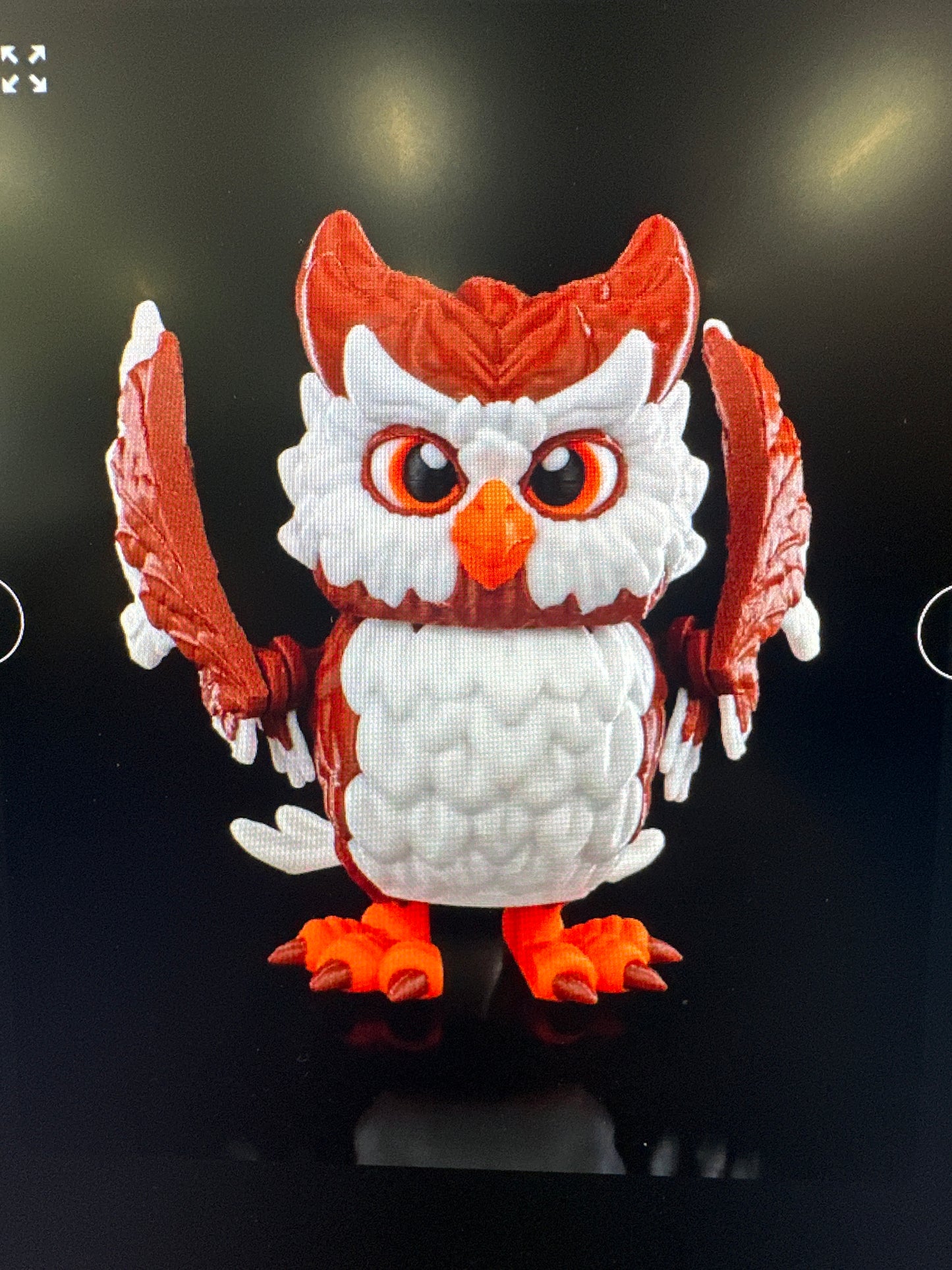 Cockatoo