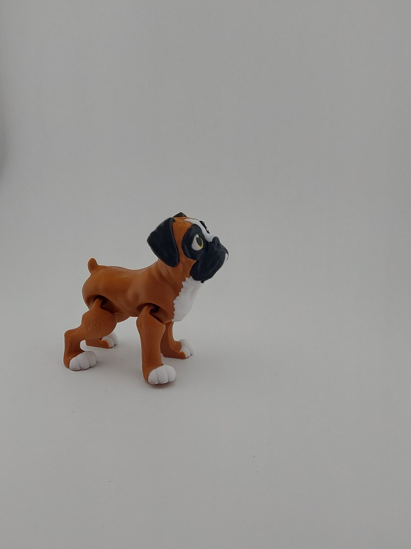 Boxer