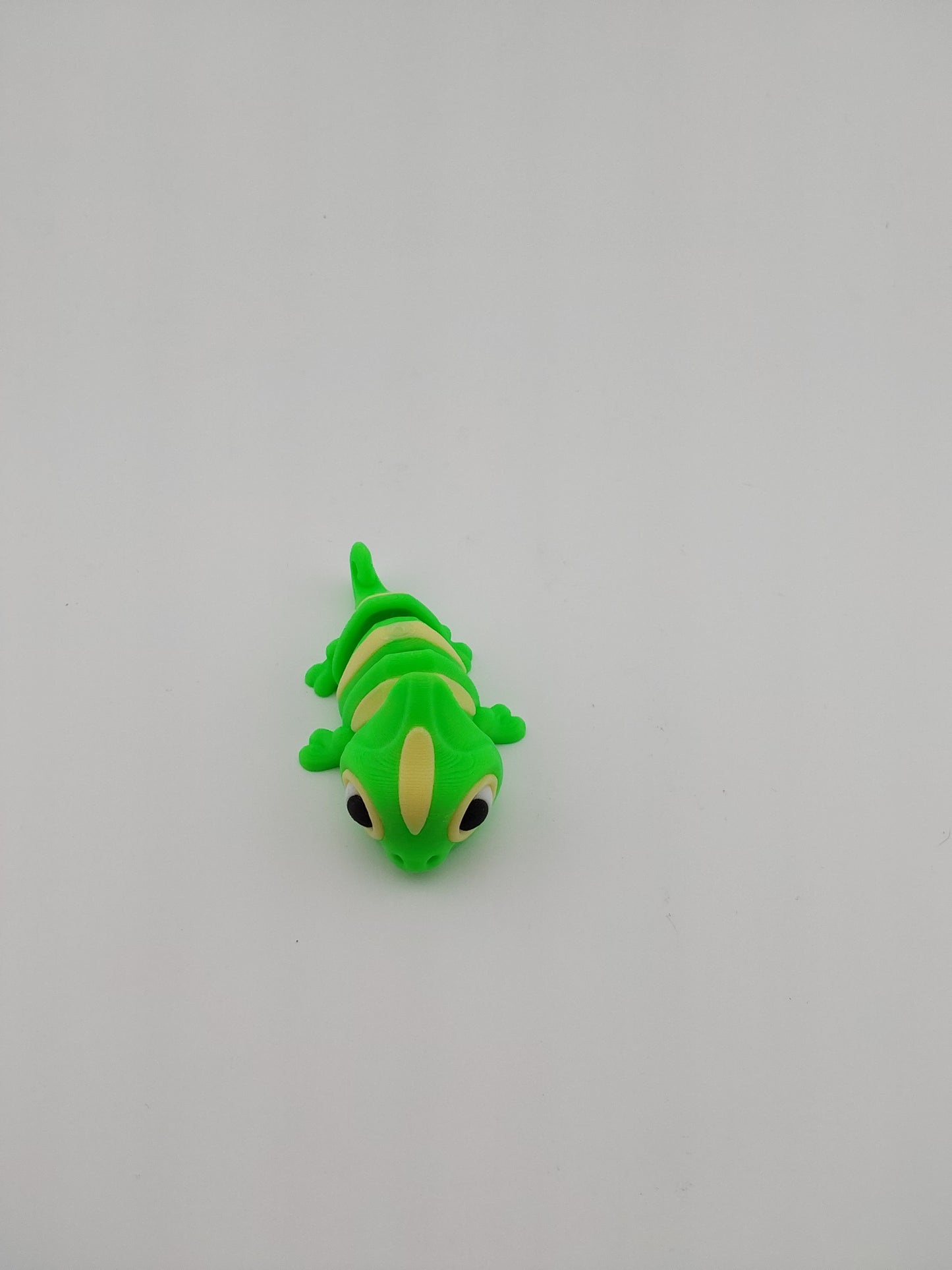 Mini chameleon