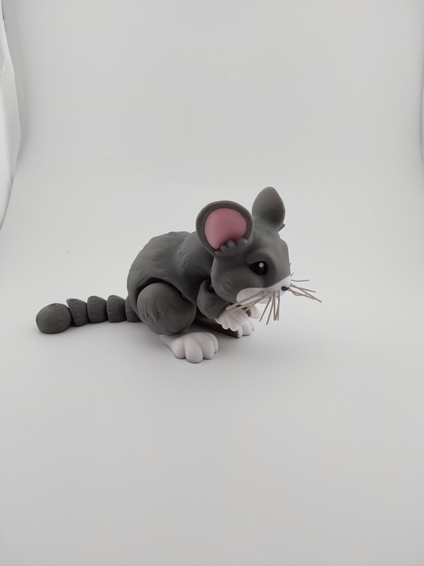 Chinchilla