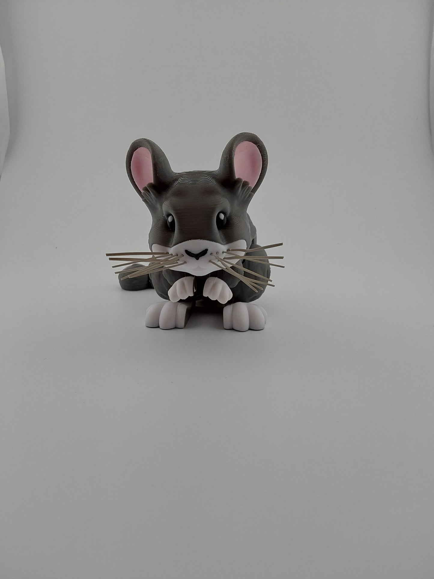 Chinchilla