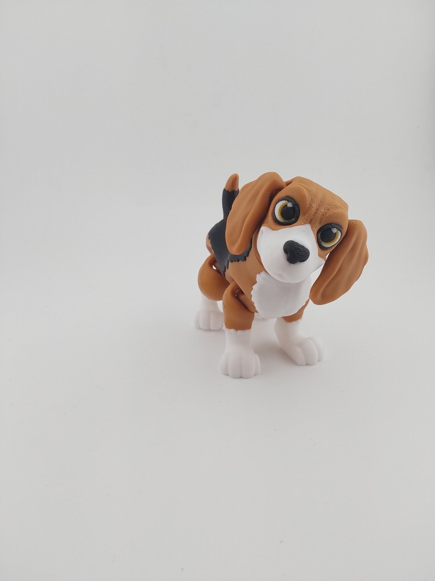 Beagle