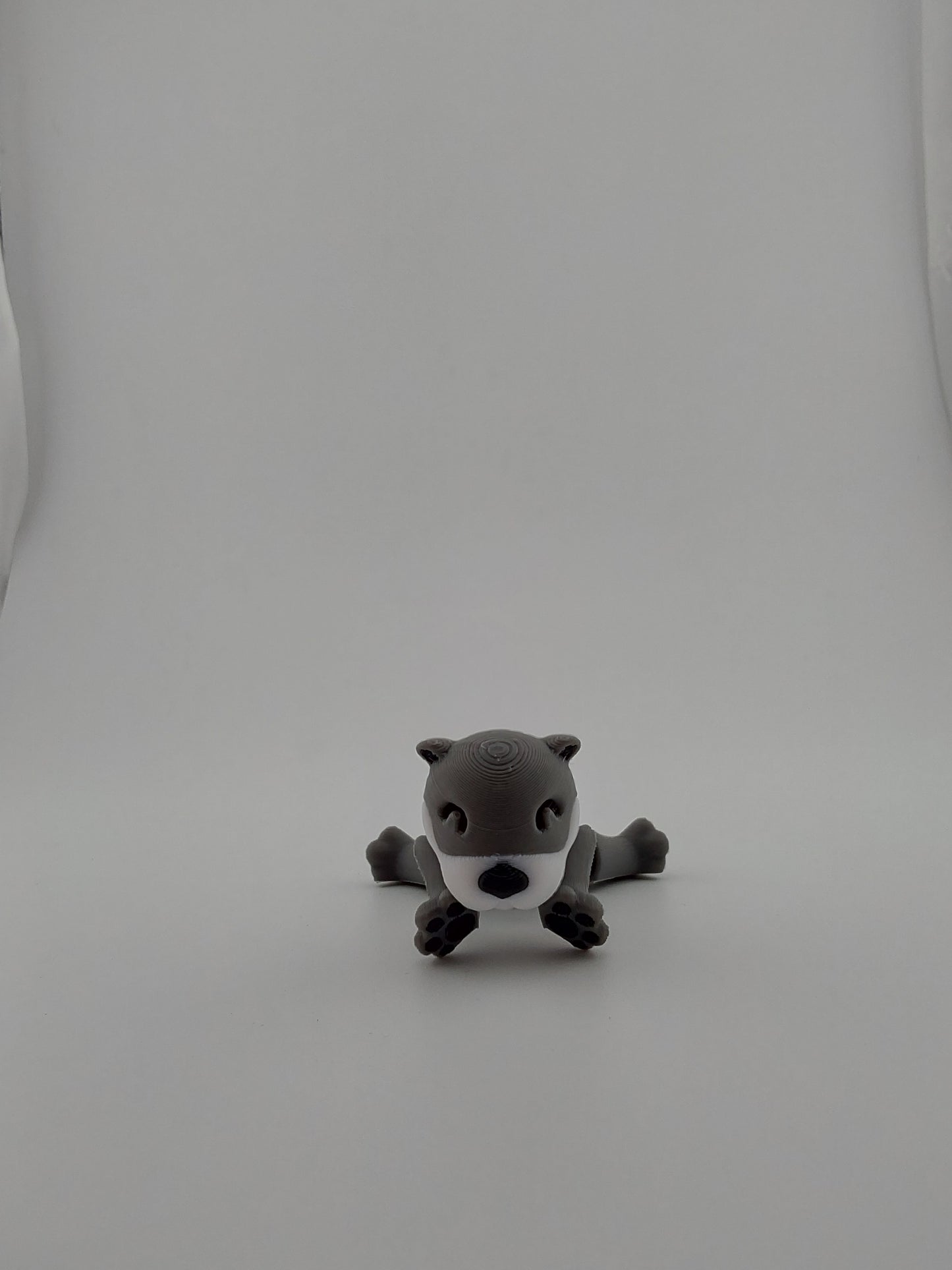 Baby otter