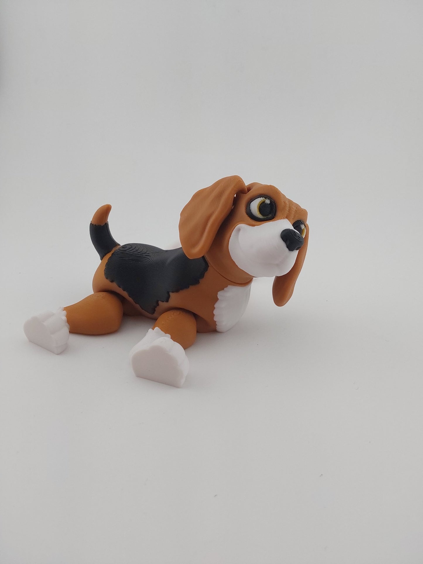 Beagle