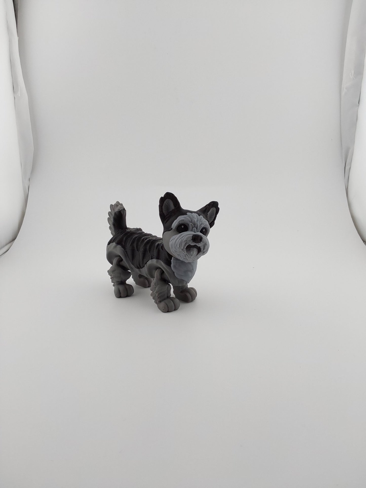 Yorkie