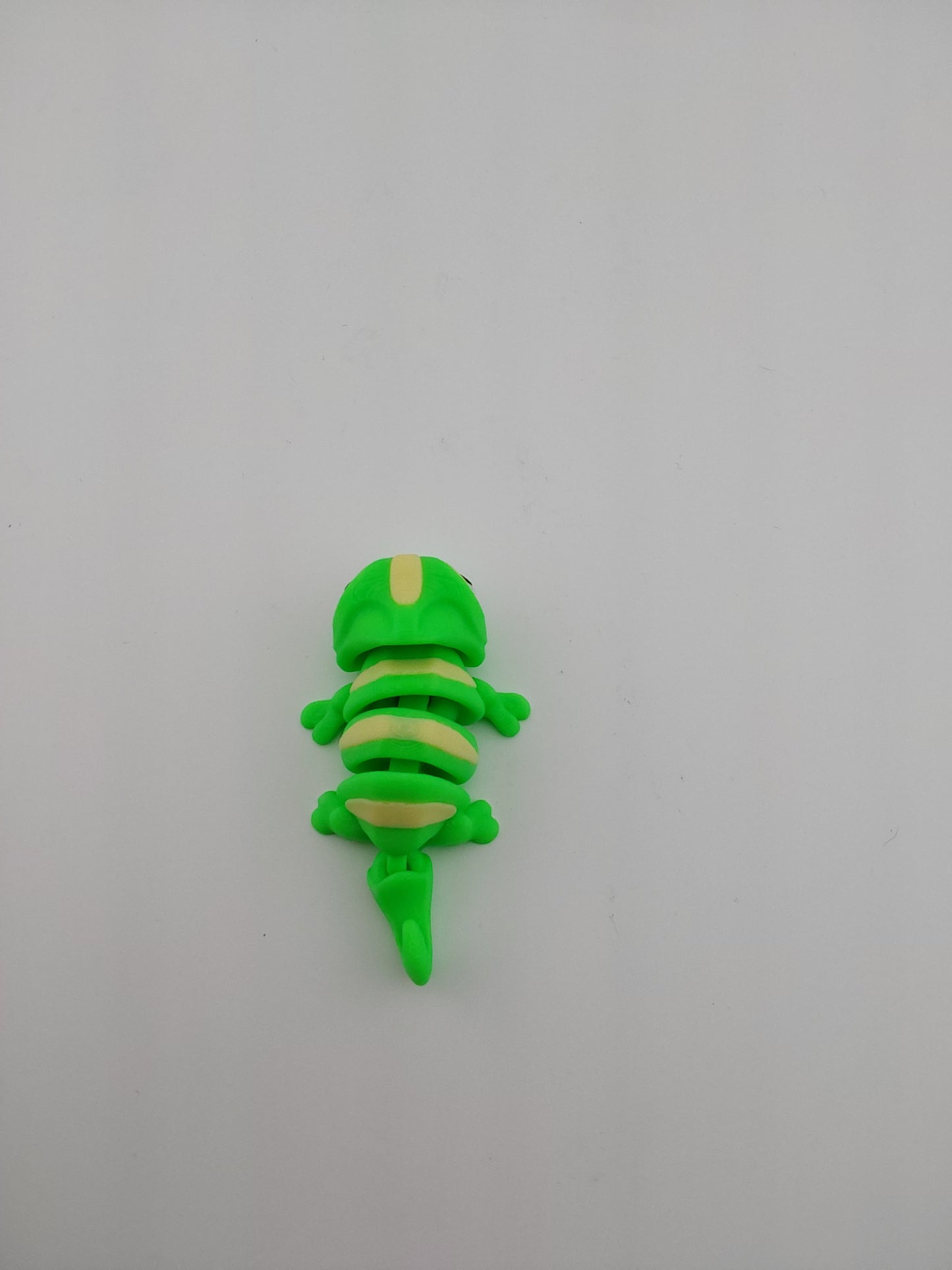 Mini chameleon
