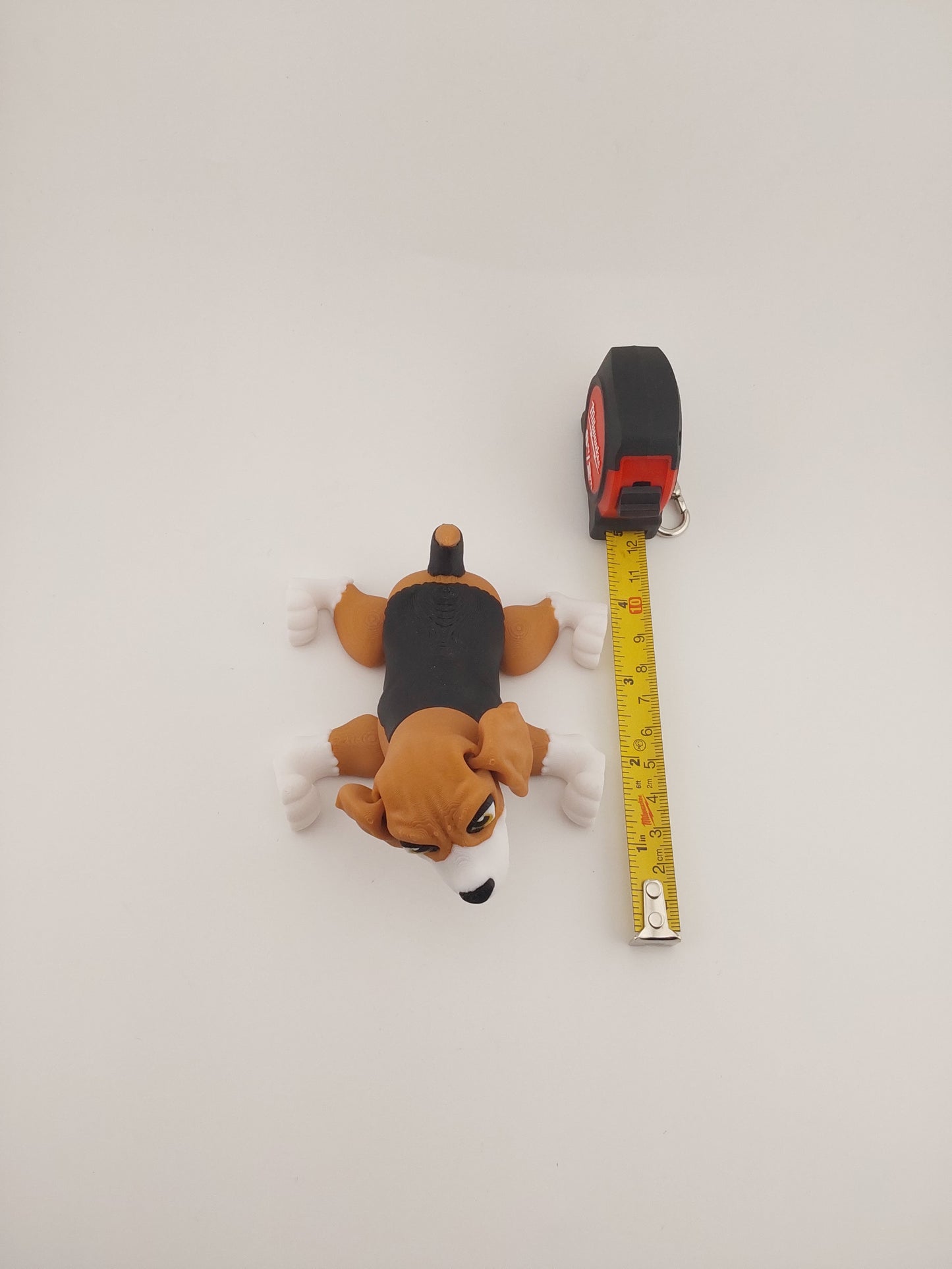Beagle