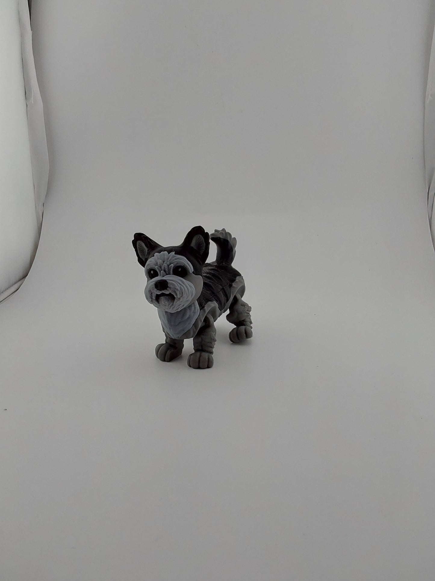 Yorkie