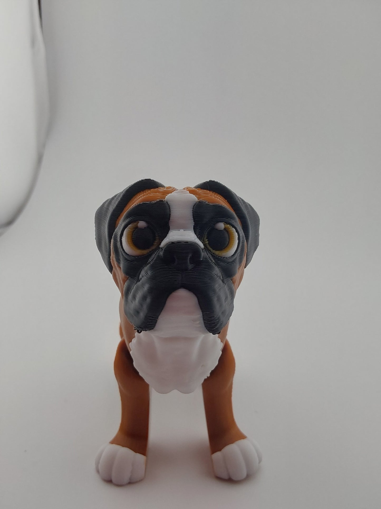 Boxer