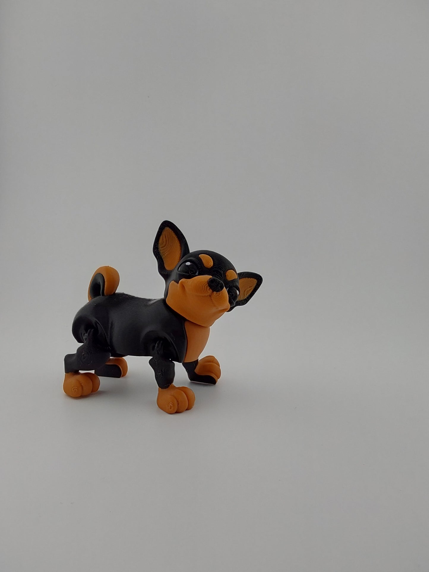 Chihuahua