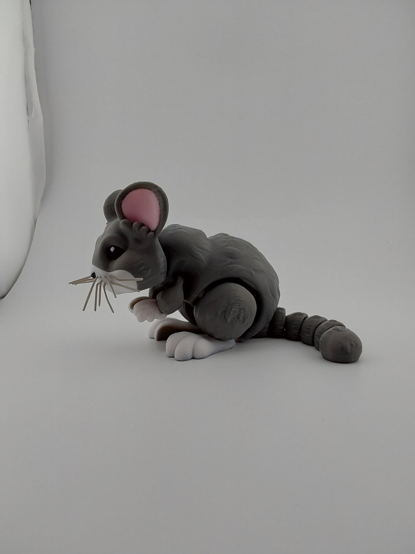 Chinchilla