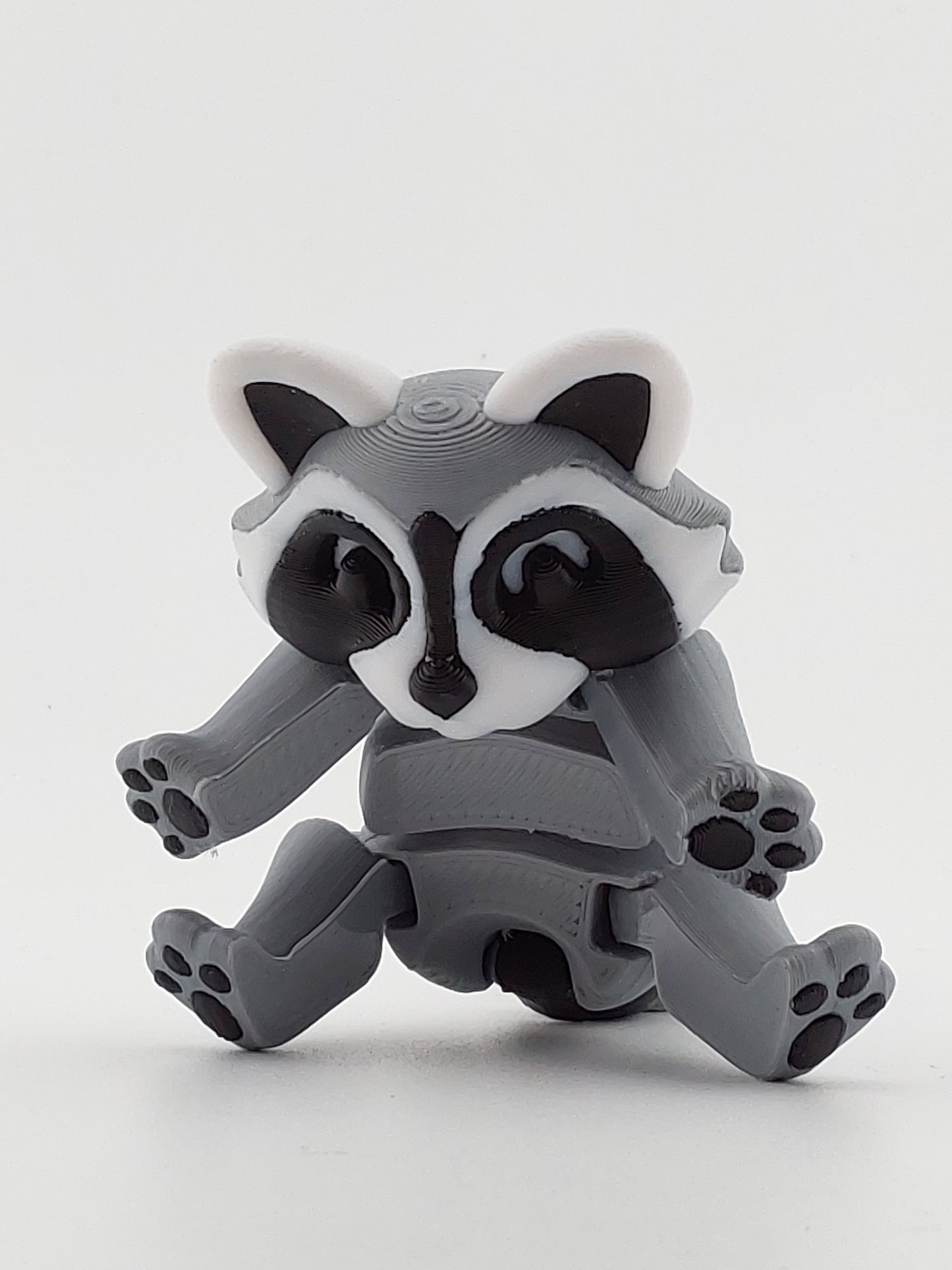 Raccoon
