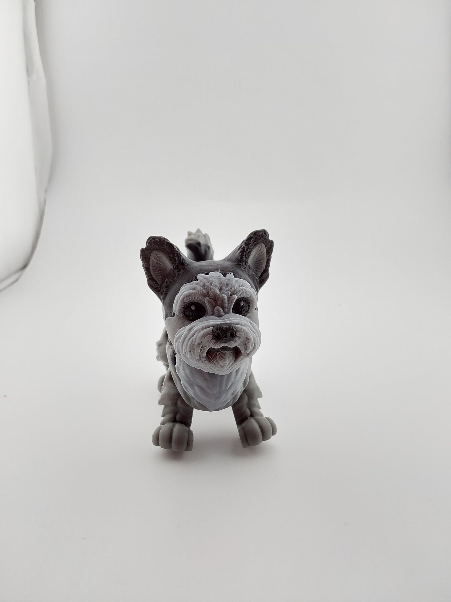 Yorkie