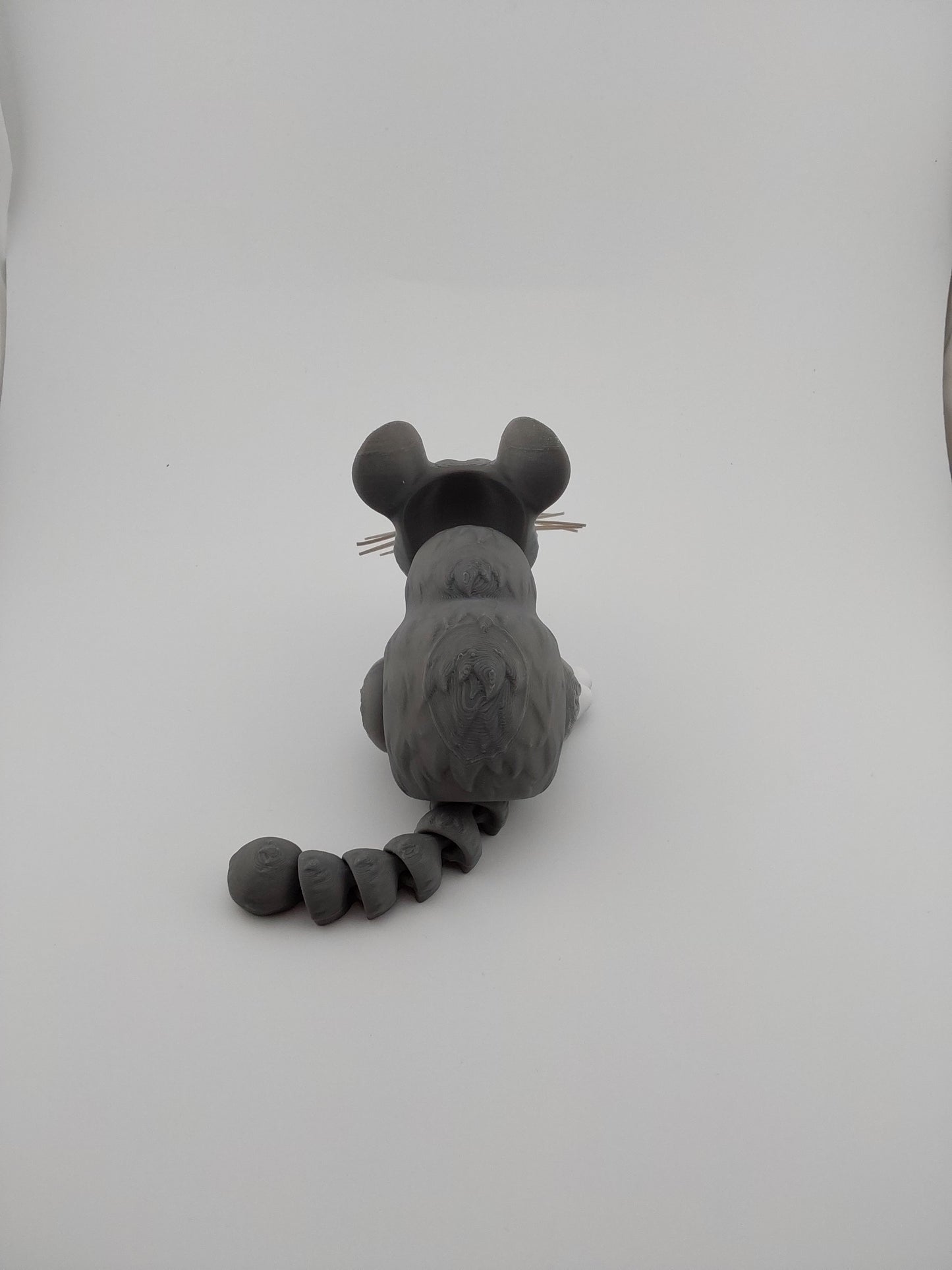 Chinchilla