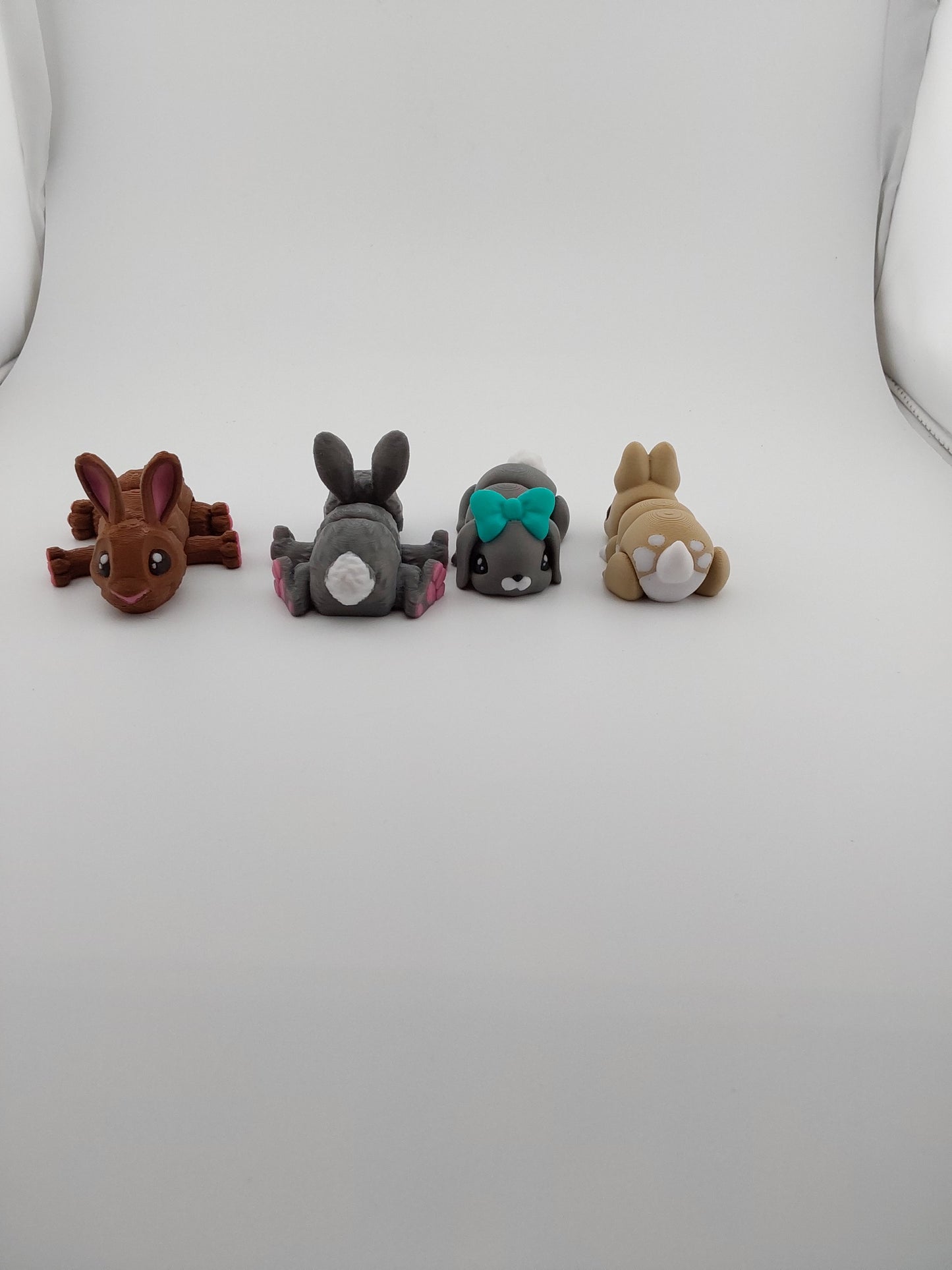 Bunny rabbit
