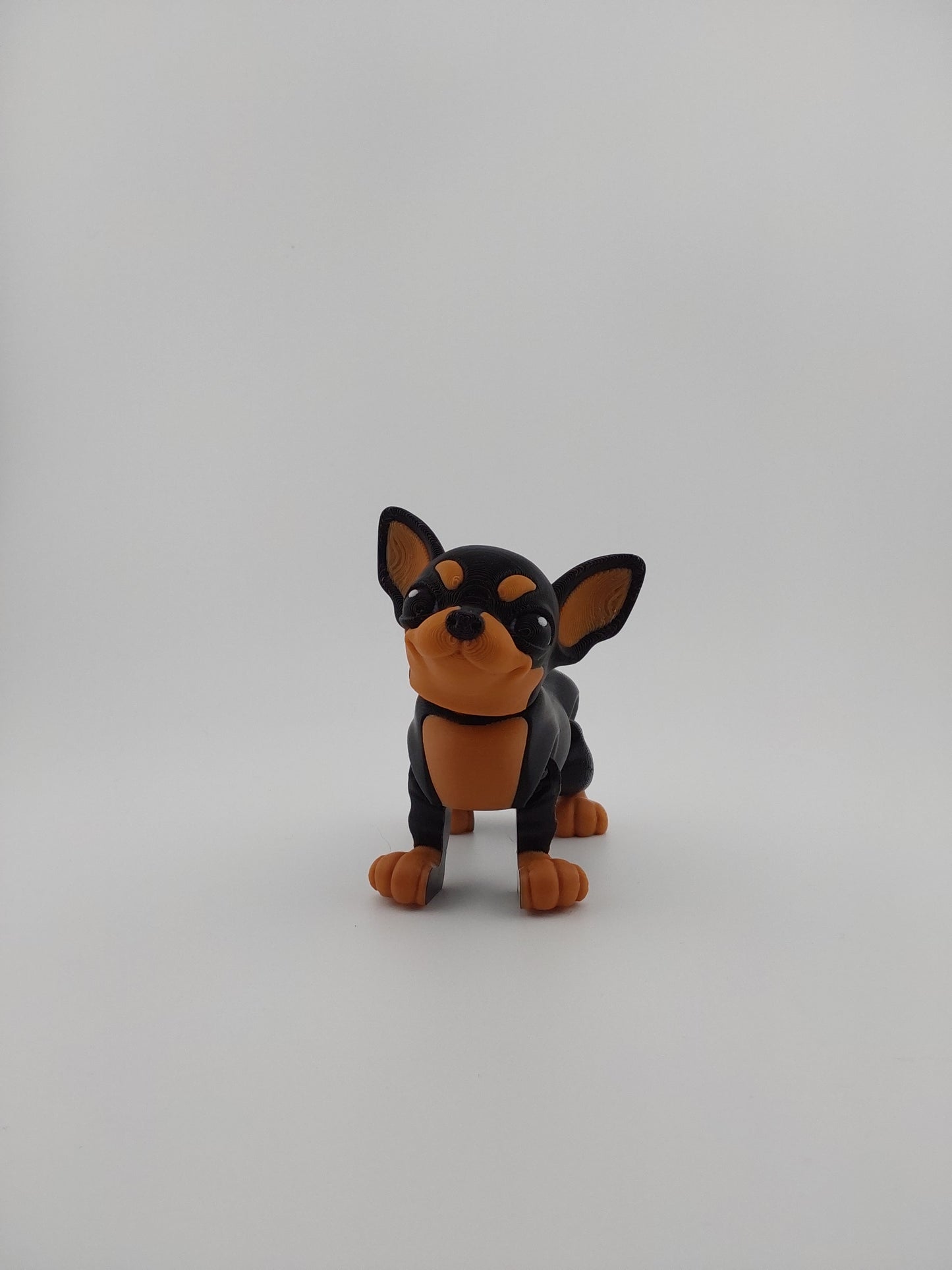 Chihuahua