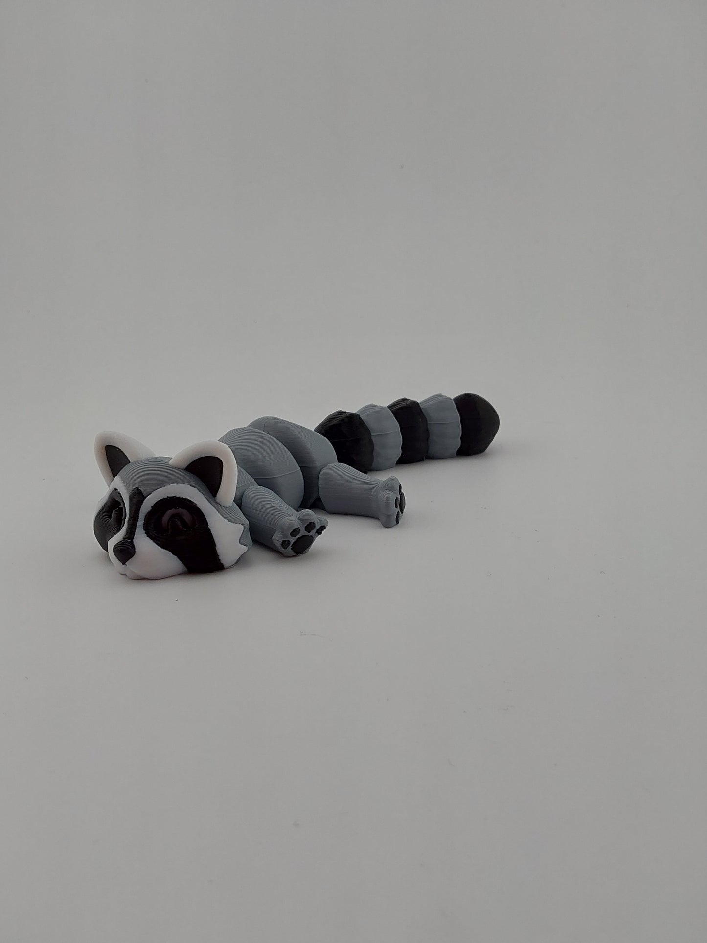 Raccoon