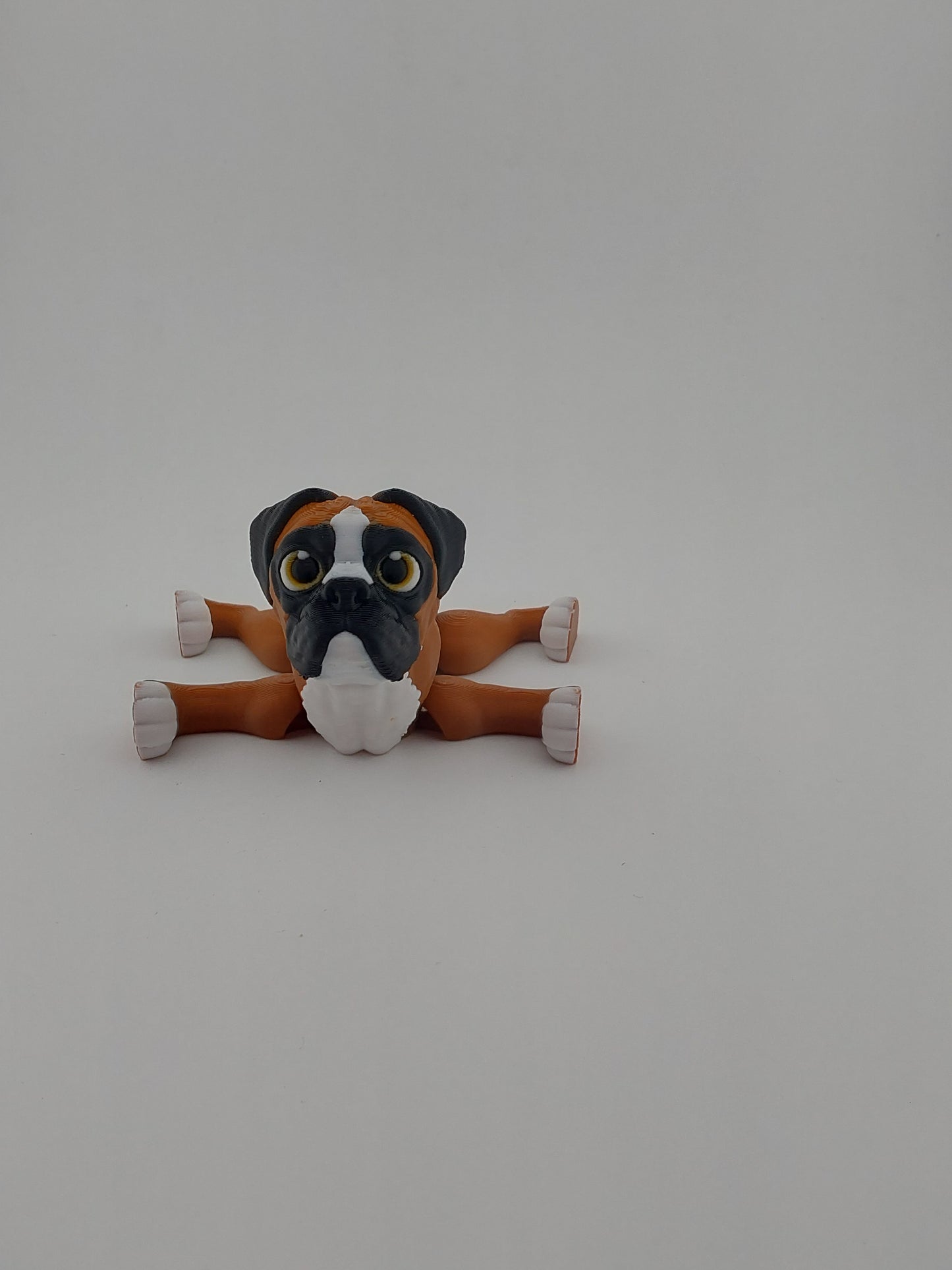 Boxer