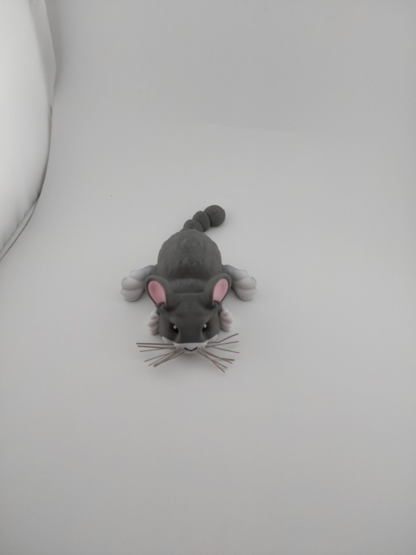 Chinchilla
