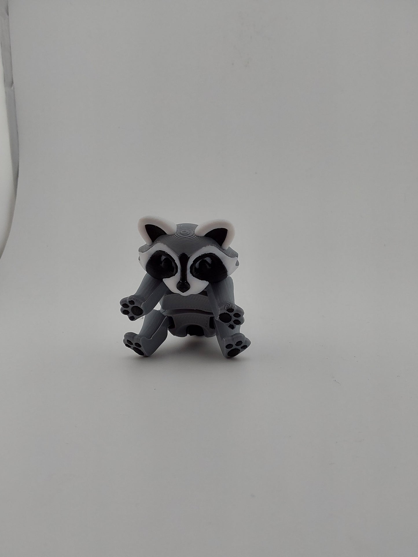 Raccoon