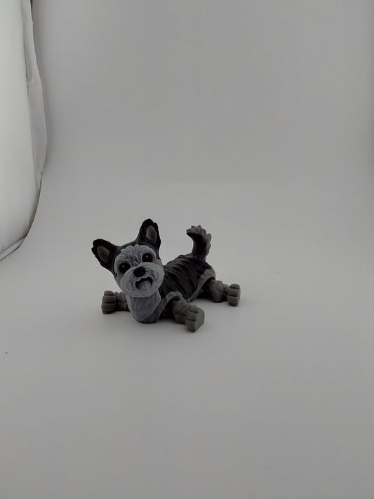 Yorkie