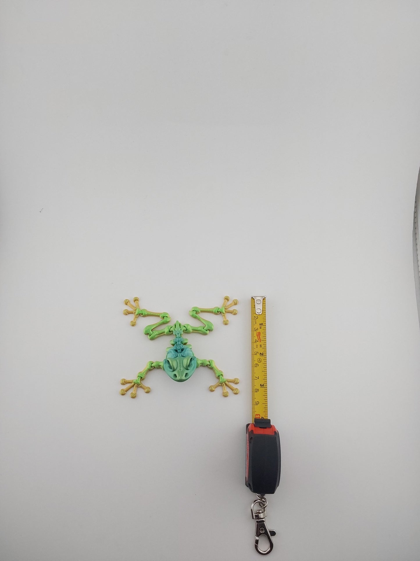 Mini frog skeleton