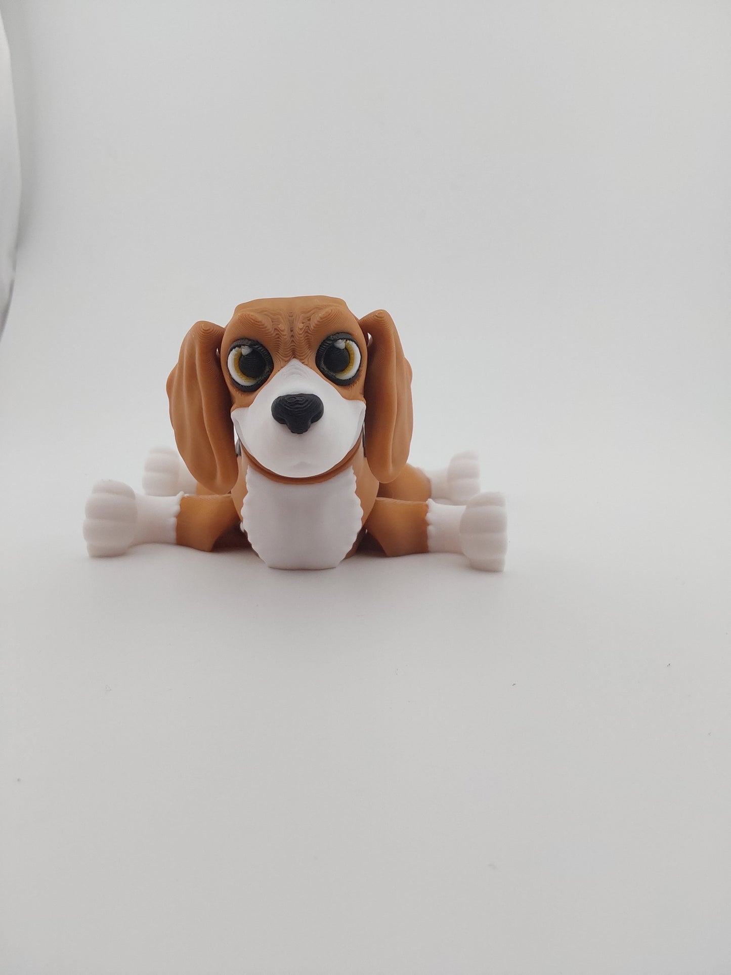 Beagle