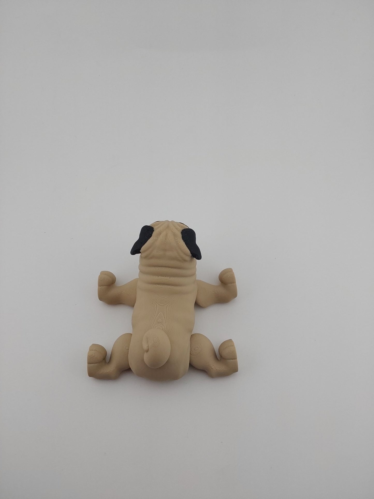 Pug