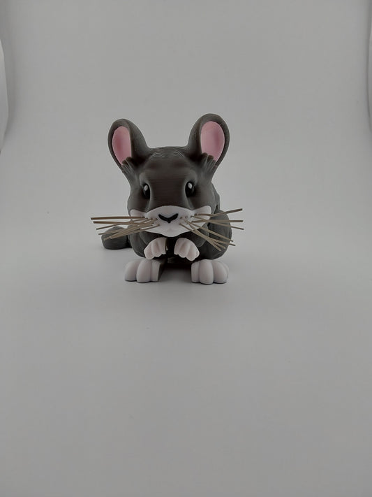 Chinchilla