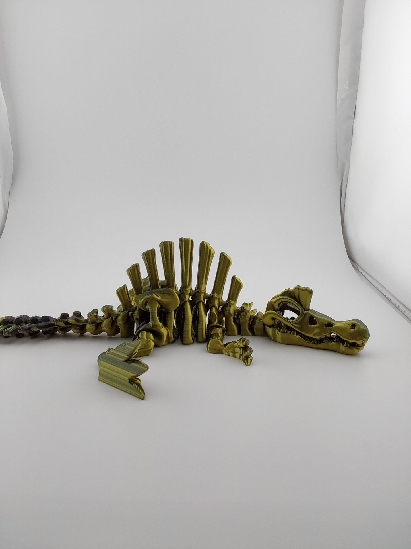 Giant skeleton spinosaurus