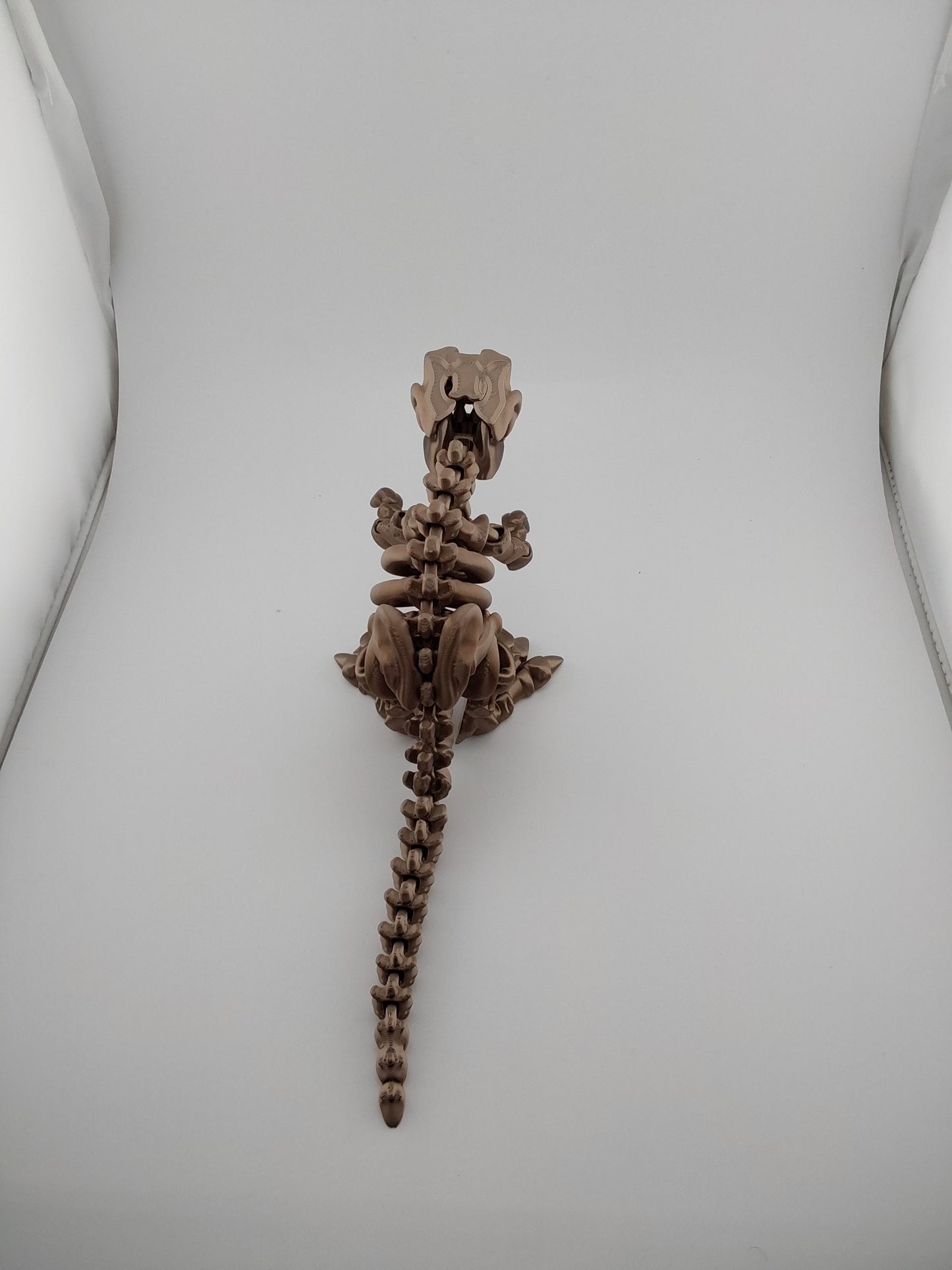 Large T-rex skeleton