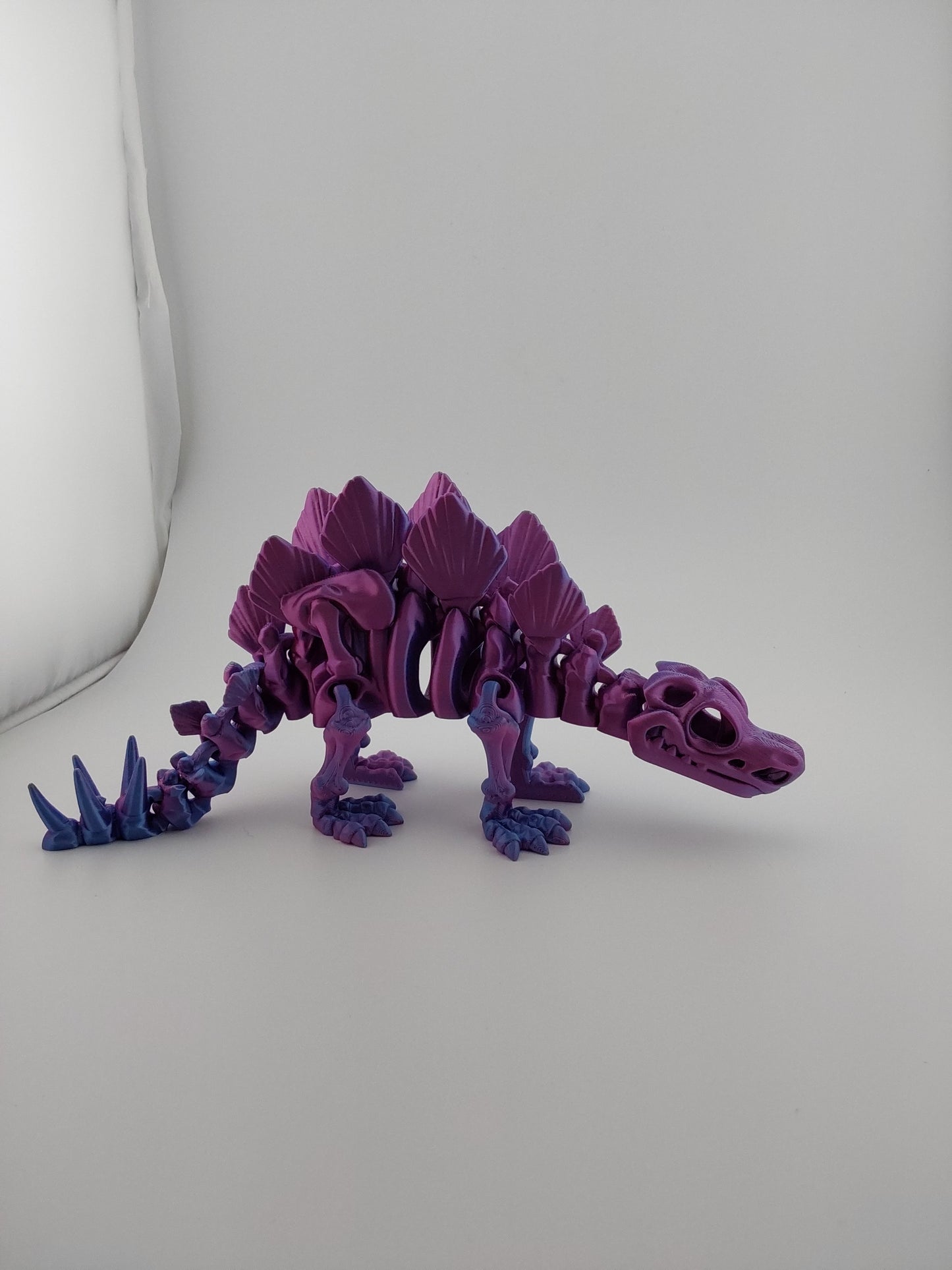 Large Stegosaurus skeleton