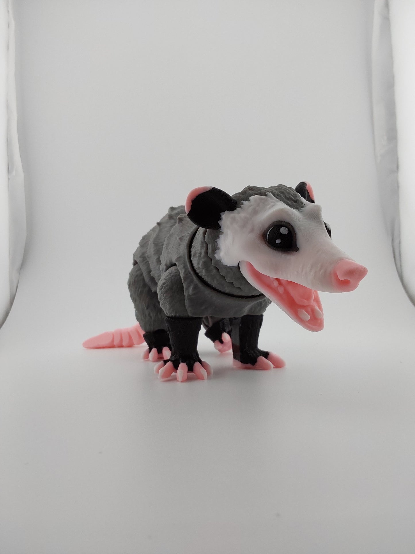 Opossum