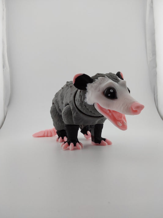 Opossum