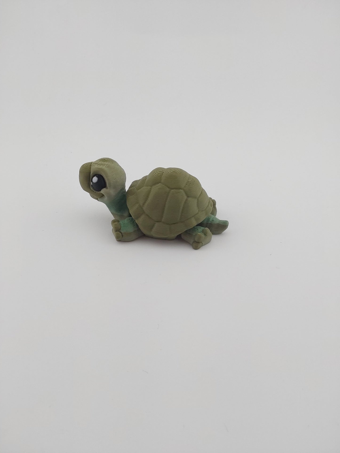 Mini turtle