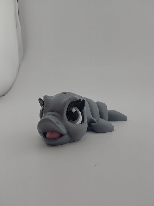 Dolphin