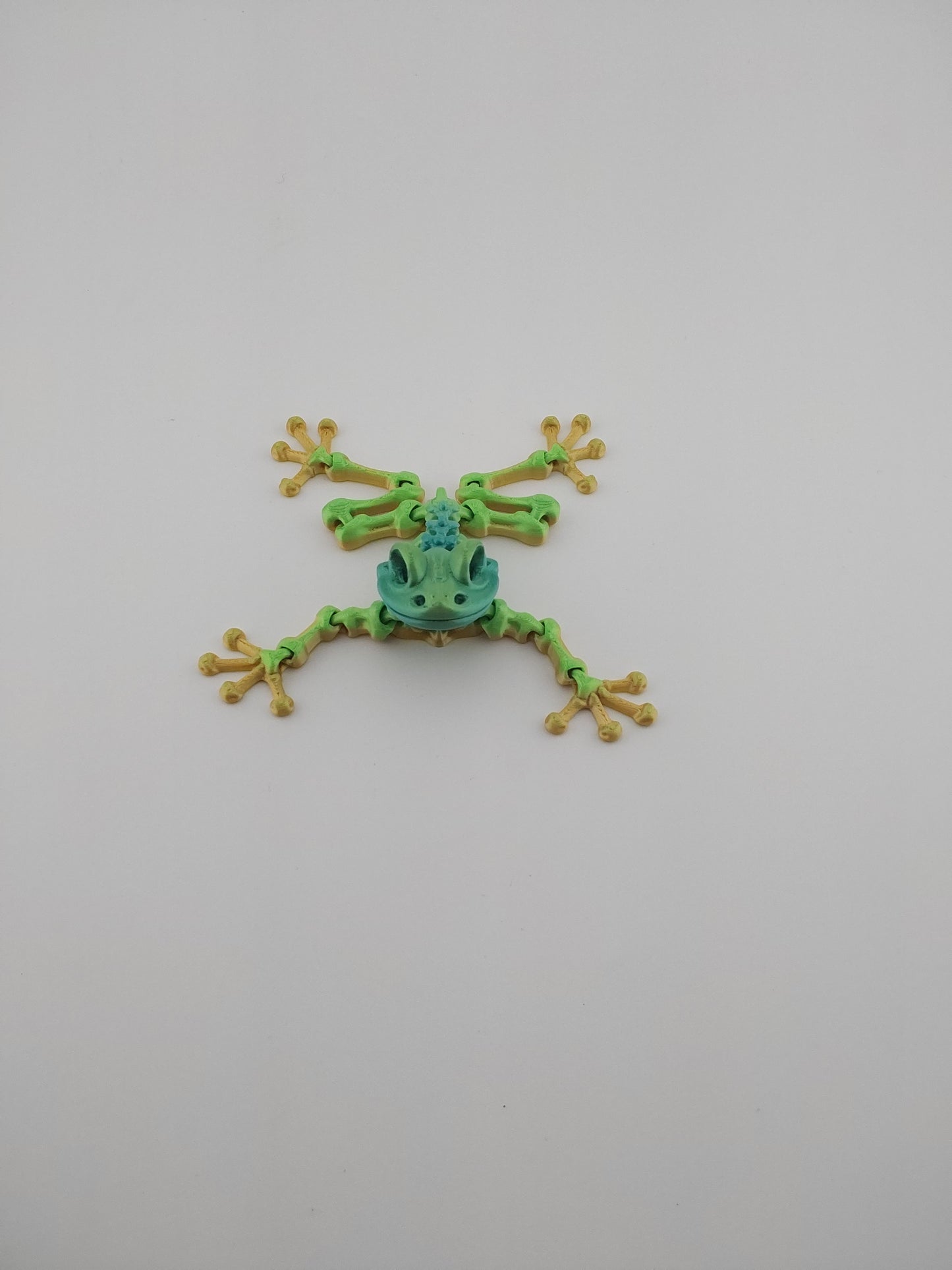 Mini frog skeleton