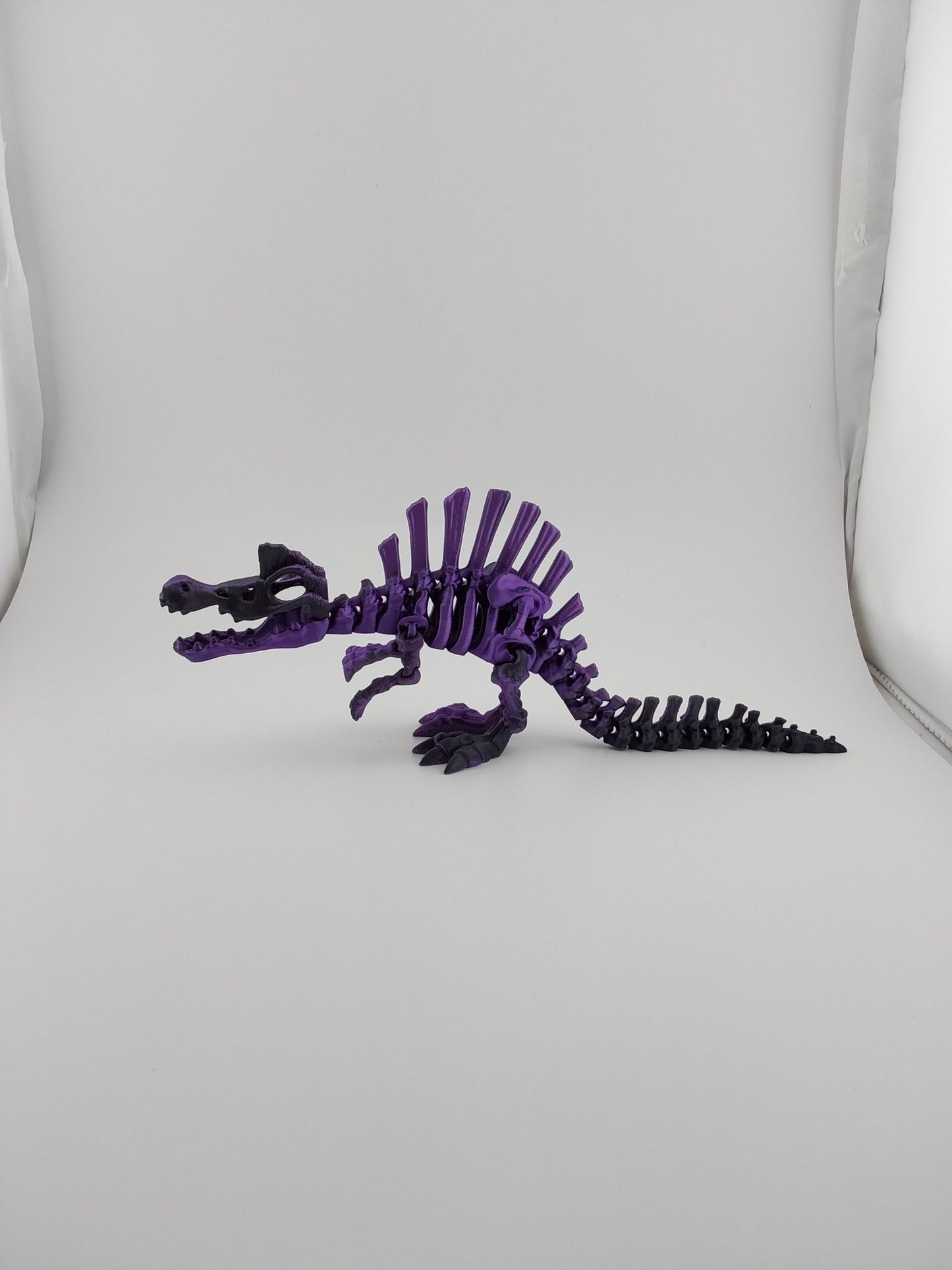 Skeleton spinosaurus