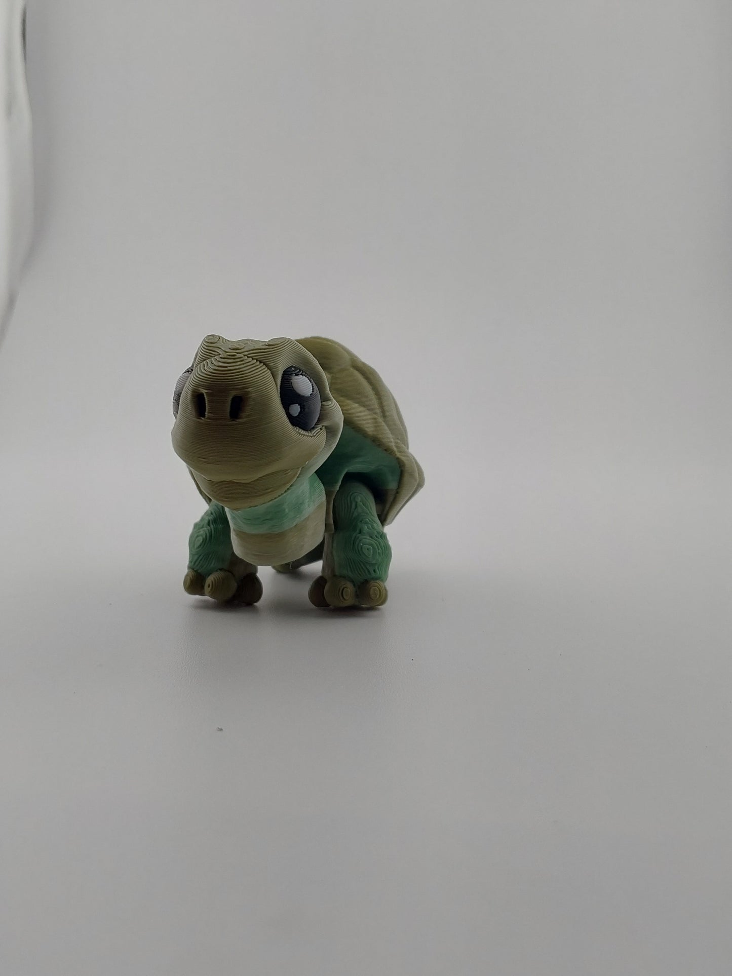Mini turtle