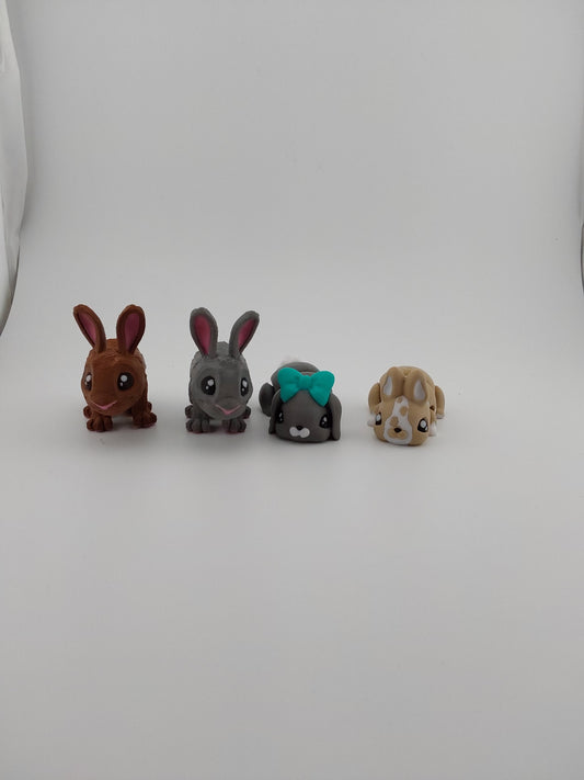 Bunny rabbit
