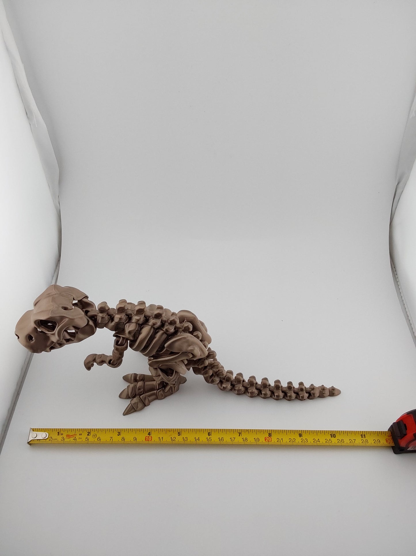 Large T-rex skeleton