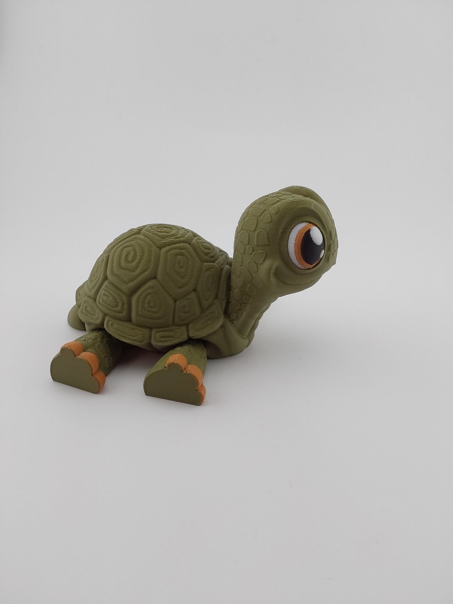 Standing tortoise