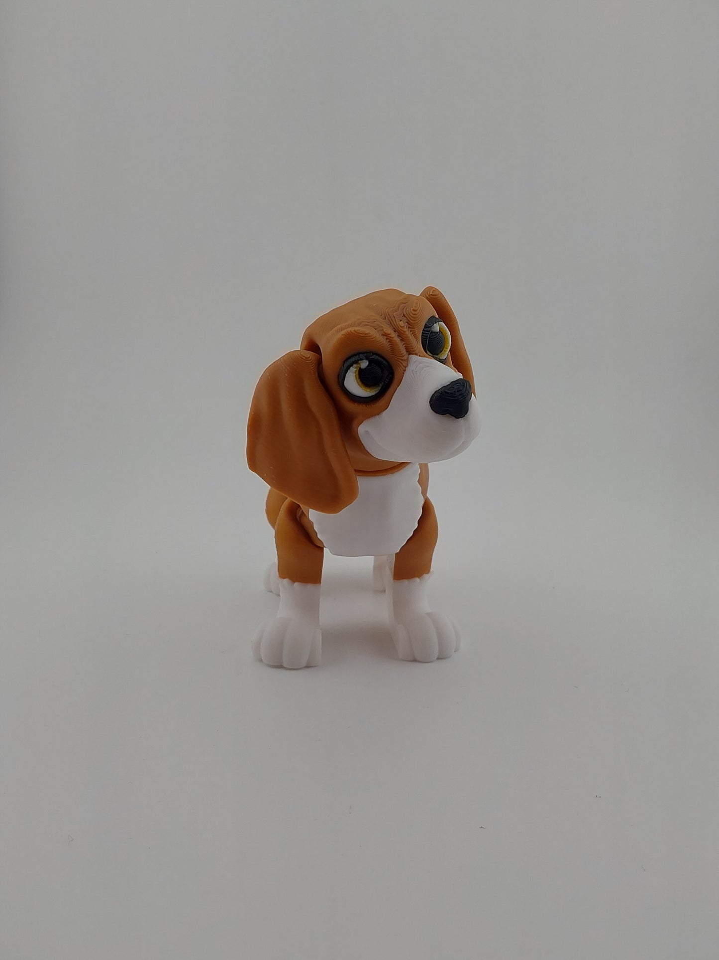 Beagle