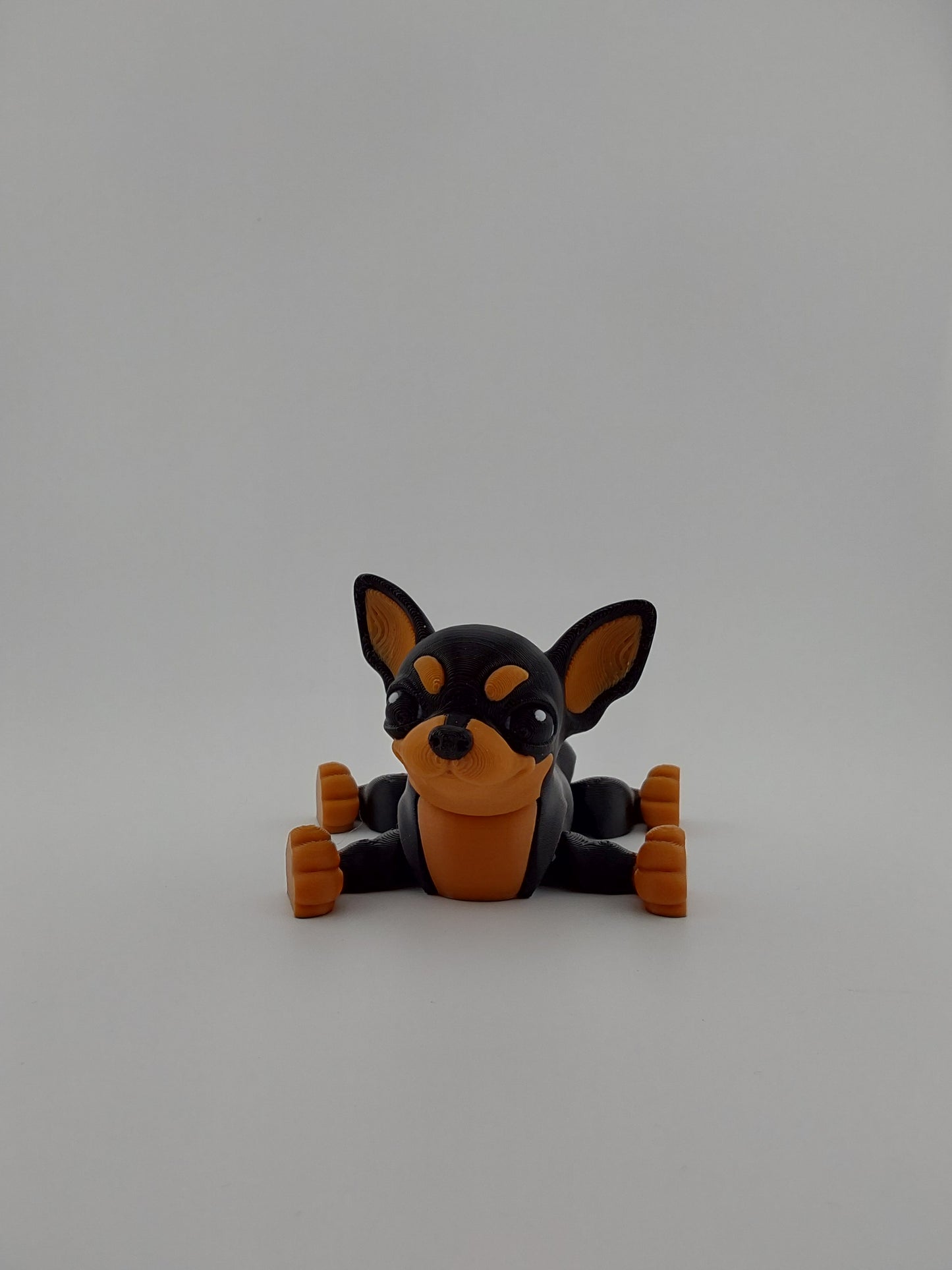 Chihuahua