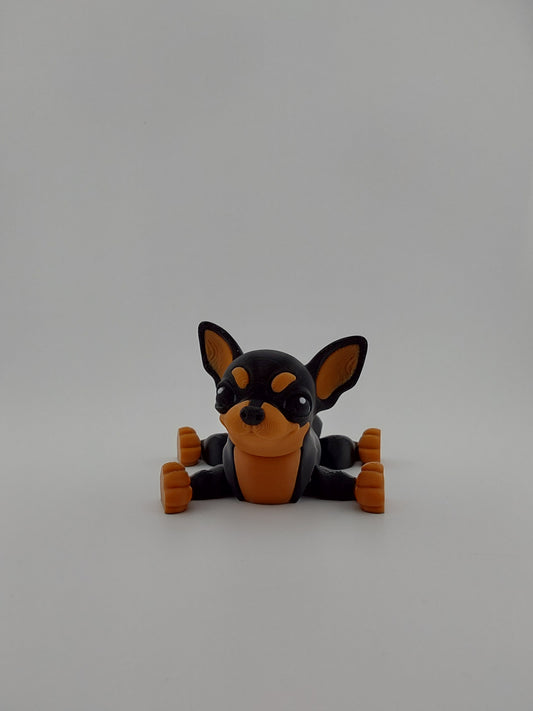 Chihuahua