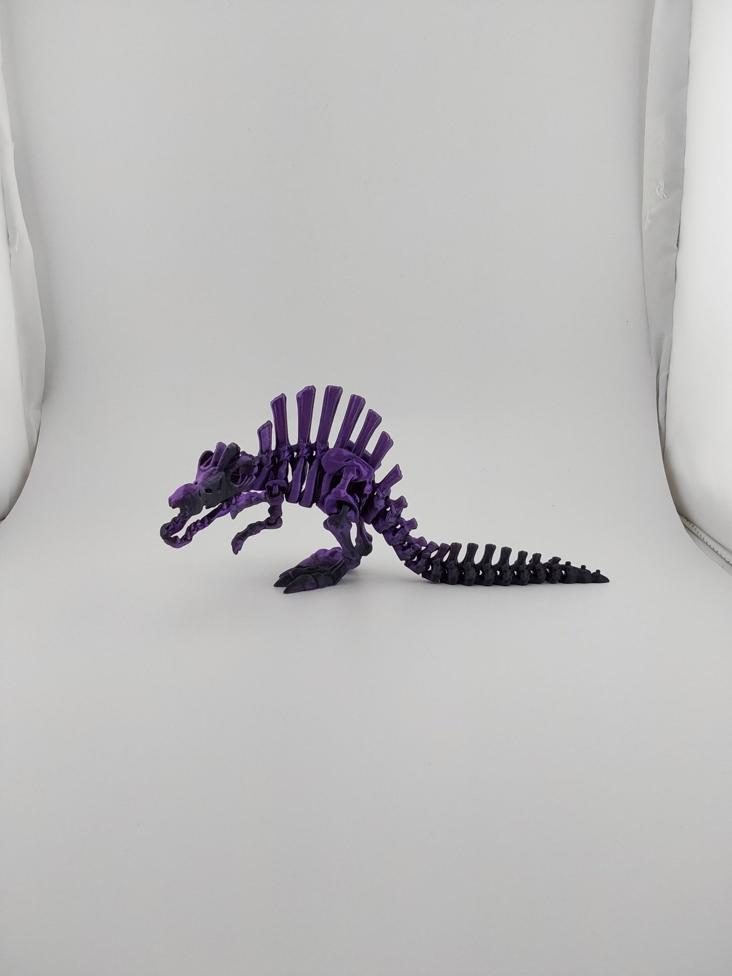 Skeleton spinosaurus