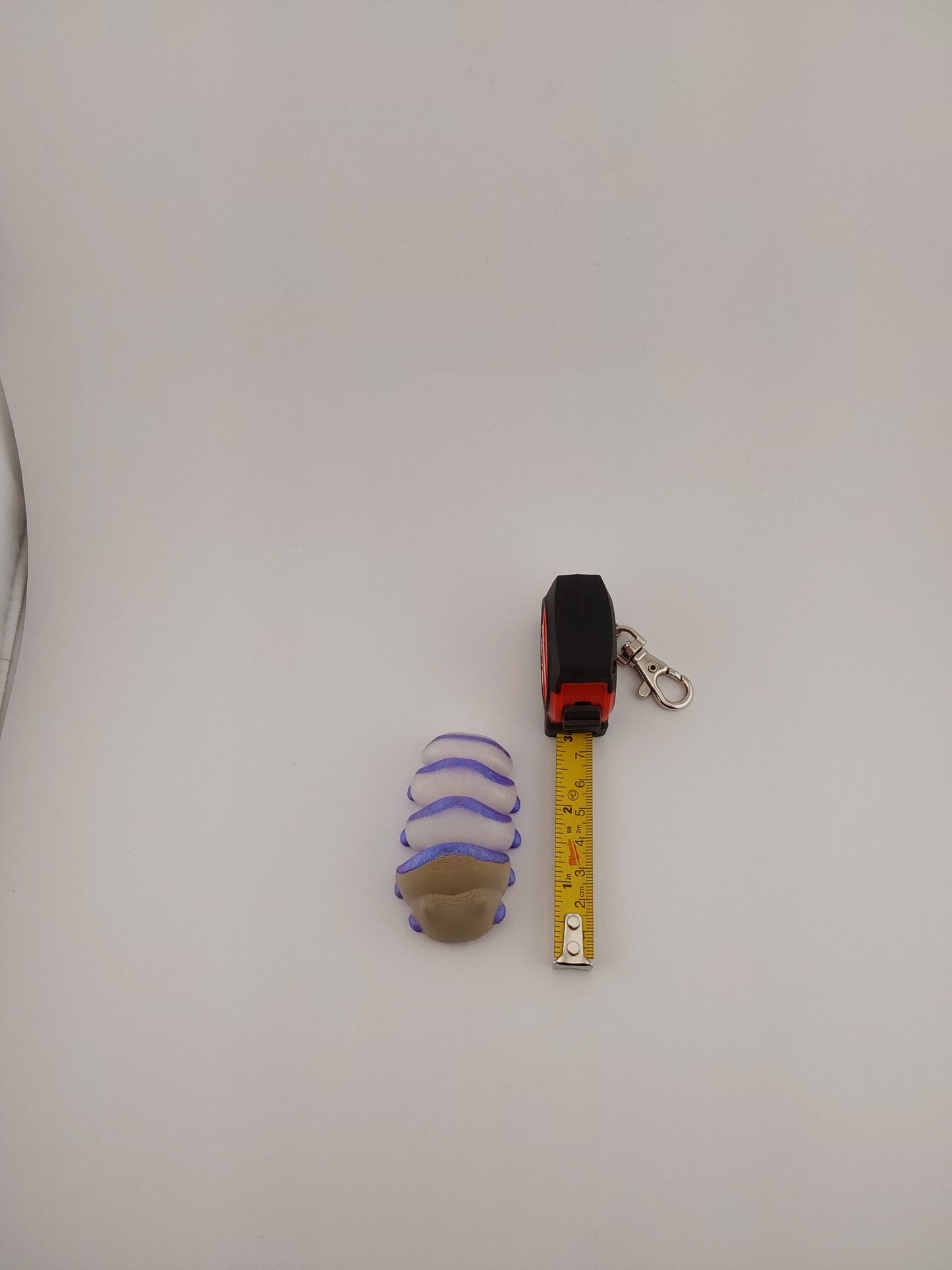 Glow in the dark slug