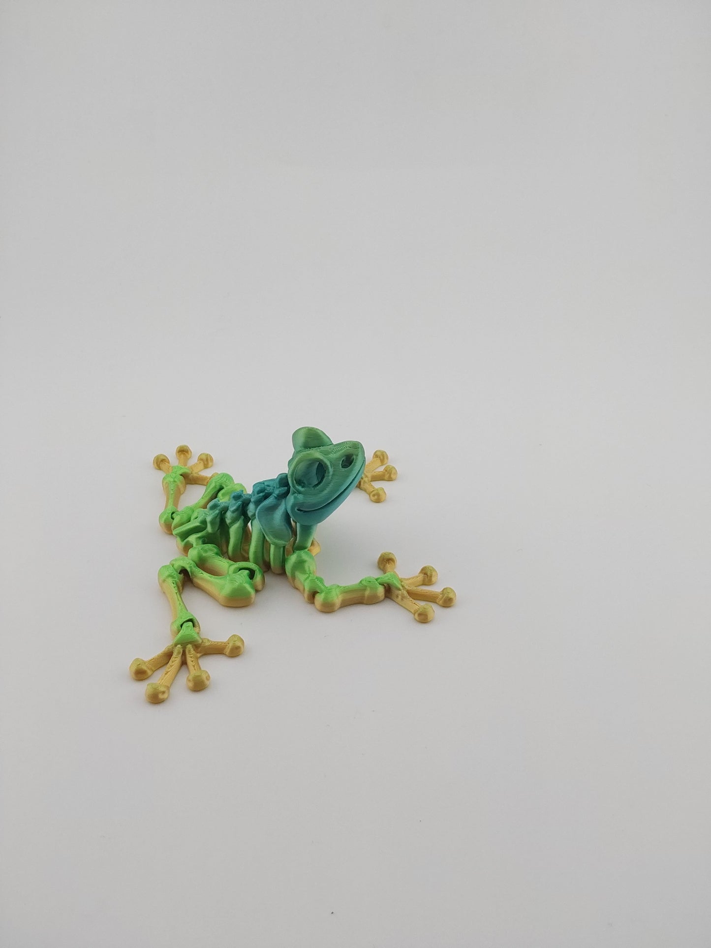 Mini frog skeleton