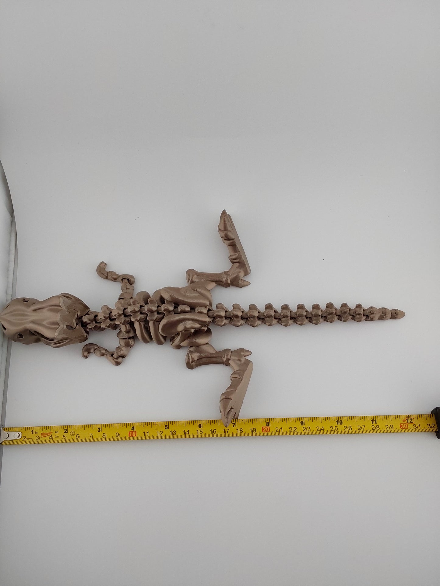 Large T-rex skeleton