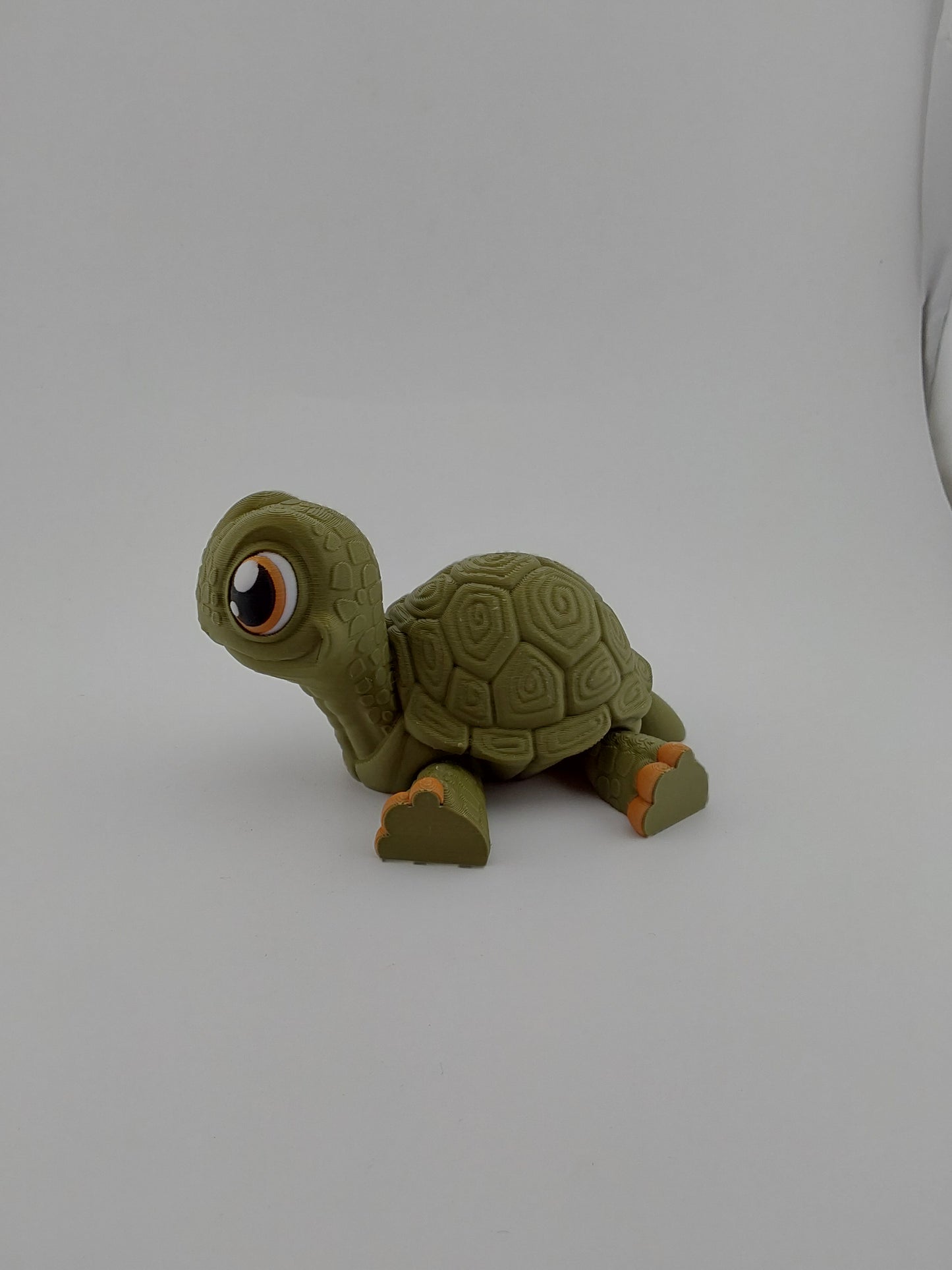 Standing tortoise